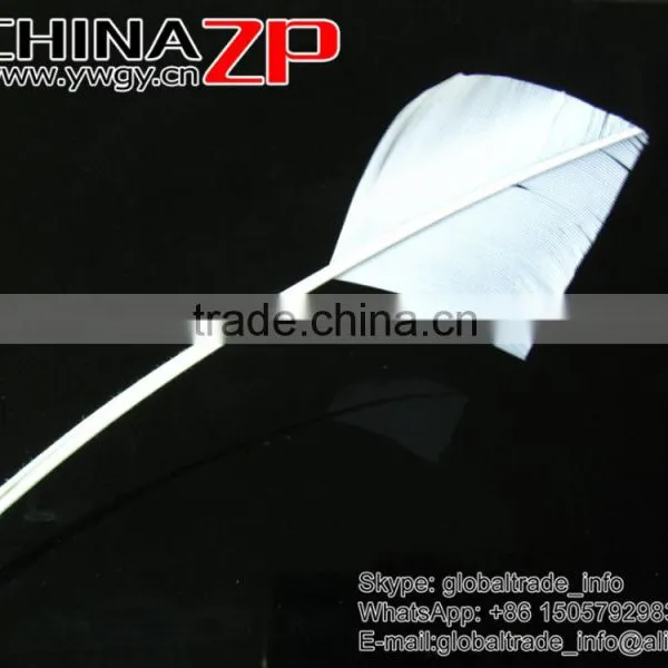 CHINAZP Plumage Leading Factory Exporting Handwork Trimed Arrow Shaped White Turkey Rounds Quill Feathers for Decorations photo-4