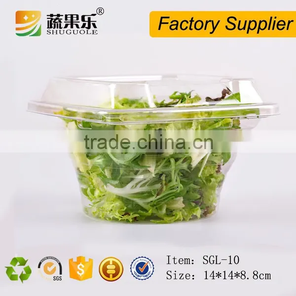 Food Use and PET Plastic Type Disposable Food Salad Container With Lid photo-4