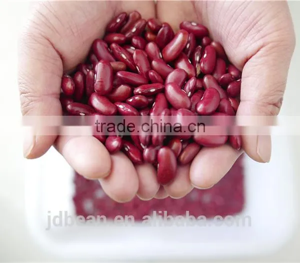 RED DARK KIDNEY BEAN Rajma HPS 200-220PCS/100G photo-3