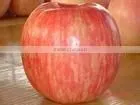 Red Fuji Apple
