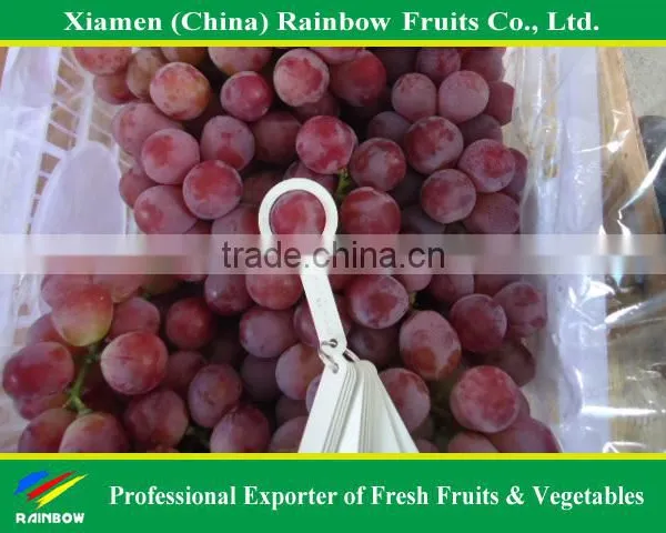 Fresh Fruits and Vegetables From China photo-6