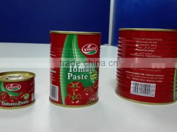 Chinese Good Quality Organic Tomato Paste Canned Tomato Paste photo-3