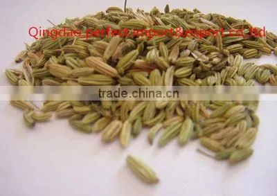 Spice Cumin Seeds photo-2