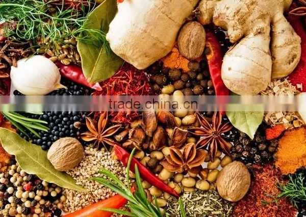 Indian Spices & Spice Powders photo-3