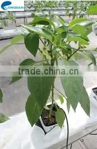 Other Heat Insulation Materials Agricultural Rock Wool Cube With Density 70kg/m3 photo-3