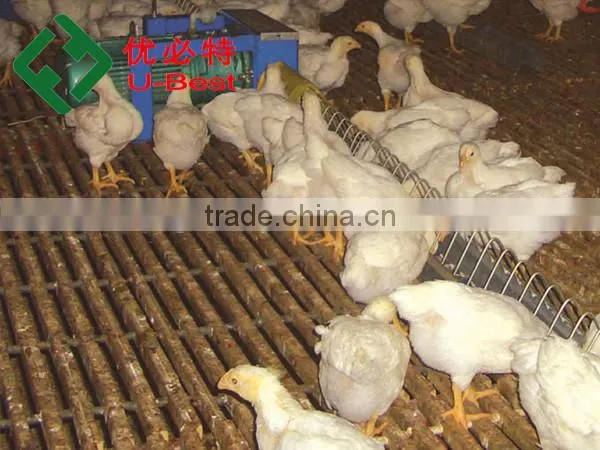 Popular Chicken Automatic Feeder and Drinker for Broiler Parent Breeder photo-6