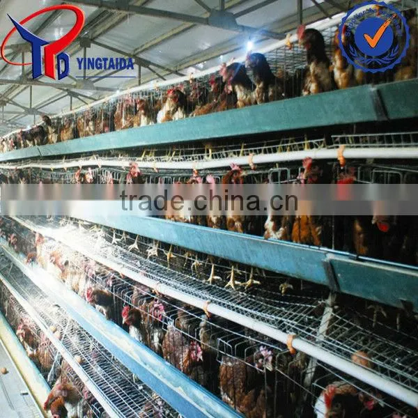 Plastic Chicken Cage for Transportion