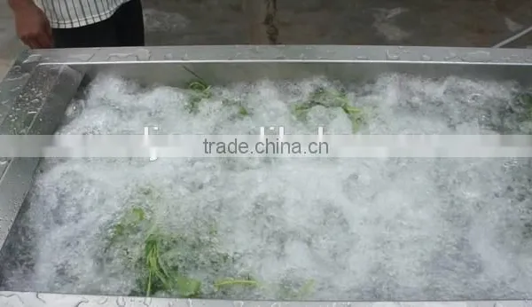 High Efficiency Commercial Vegetable Fruit Washing Equipment photo-3