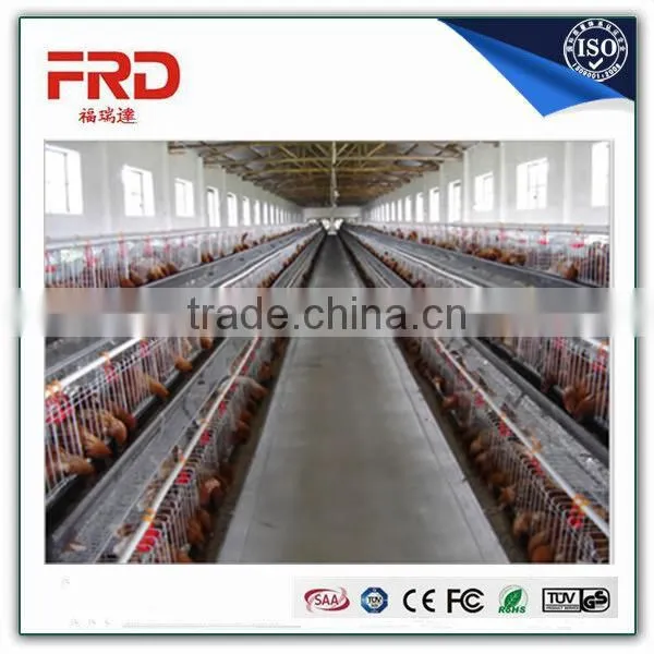 Trade Assurance 100% Payment Guarantee Factory Good Quality Cages and Aviaries for Birds photo-2