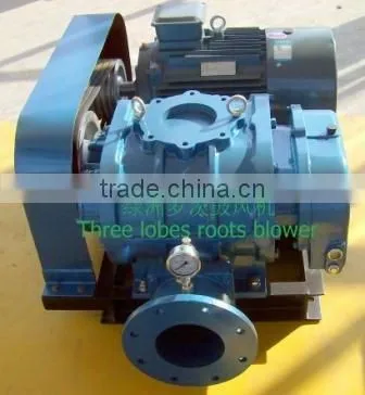 Roots Rotary Lobe Blowers(LZSR50-300B)