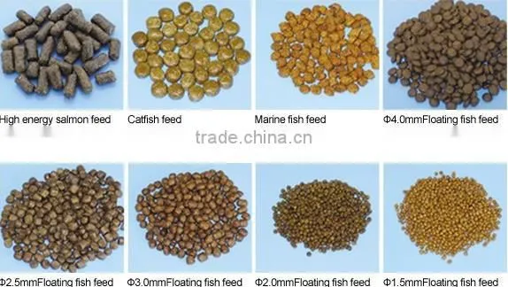 Feed Pellet Extruder Machine Process Line photo-5
