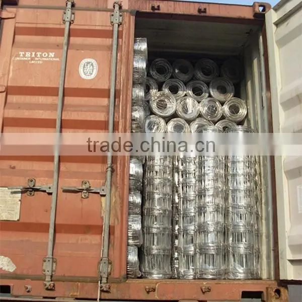 High Quality Hot Sale Hot Dipped Galvanized Steel Deer Wire Mesh Farm Fence (ISO9001;MANUFACTURER) photo-6