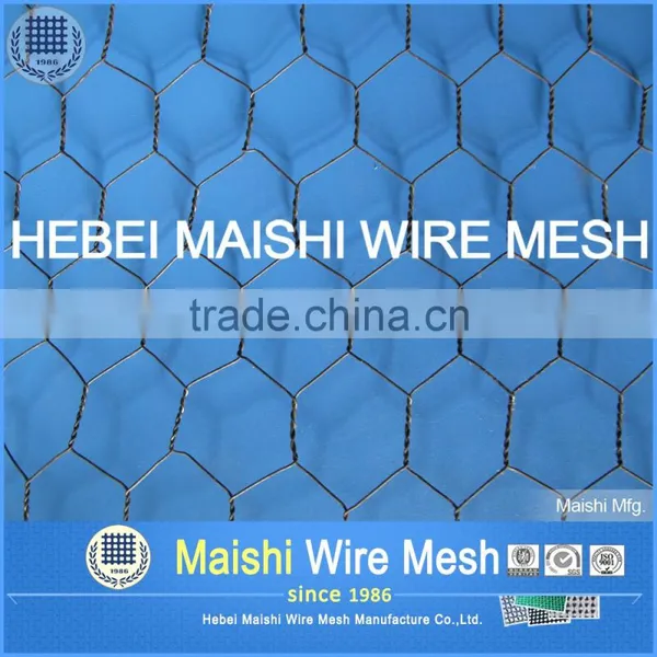 Pvc Coated Hexagonal Wire Mesh photo-3