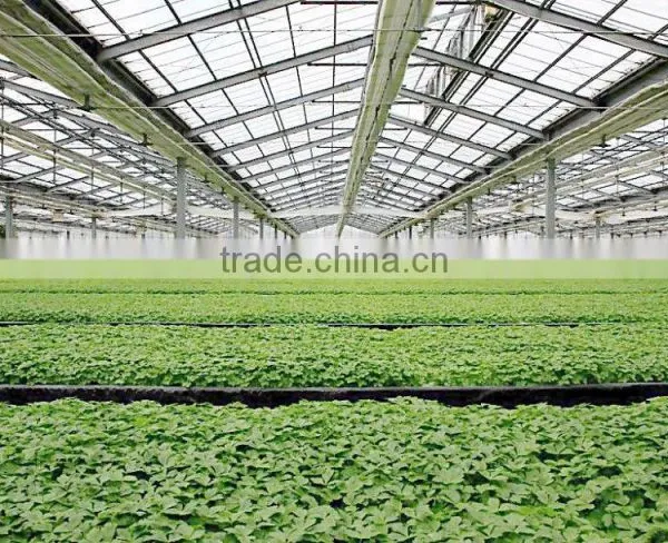 Agriculture /garden Commercial Greenhouse For Sale photo-3