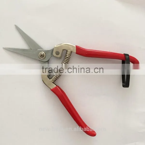 Stainless Steel Pick Fruit Scissors With Red Handle photo-2
