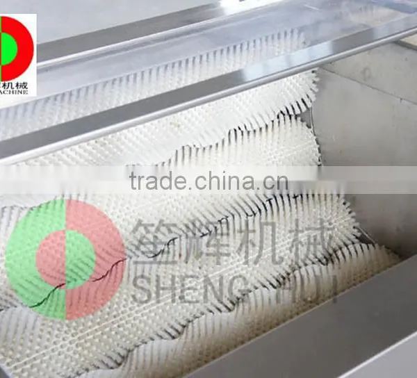 Professional Potato Peeling Machine Automatic Sweet Potato Washing and Peeling Machine photo-4