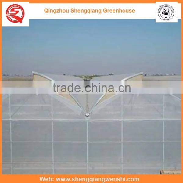 Agriculture Equipment Multi-span 6.0m Plastic PE Film Agriculture Greenhouse for Sale photo-3
