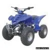 ATV (110cc)