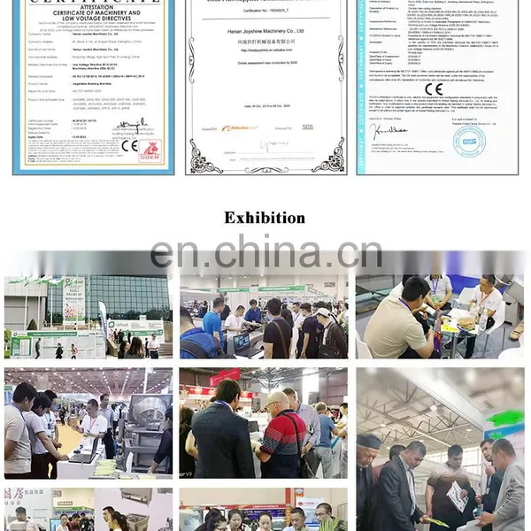 Professional Manufacturer 100kgh French Fries Making Machine French Fries Freezing Line photo-7