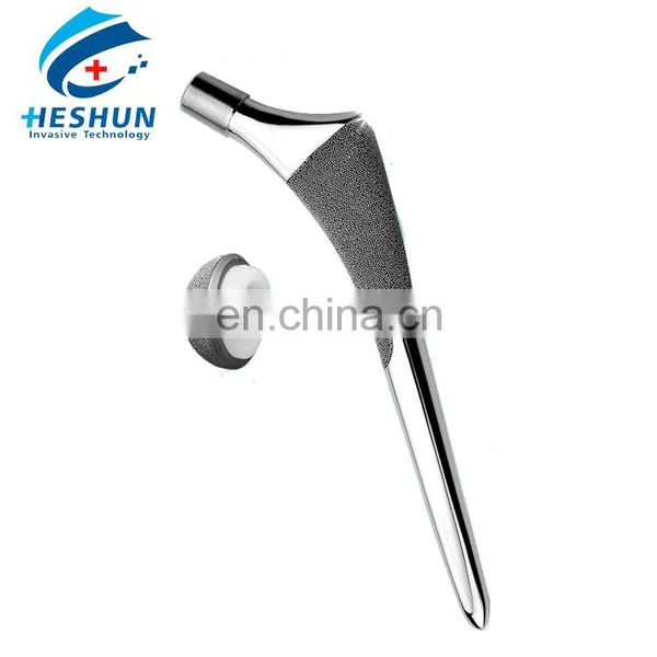 Orthopedic Cementless Revision Hip System