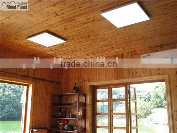 Led Hi-end Quality Pure White Led Panel Light no Strobe photo-4