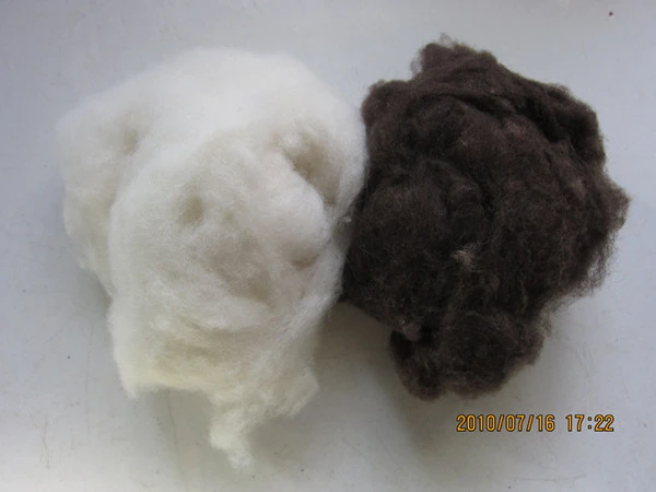 100% Natural Sheep Wool 100% Cashmere Wool  Wool Raw Materials photo-2