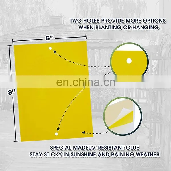 Yellow PP Board Sticky Insect Glue Traps photo-4