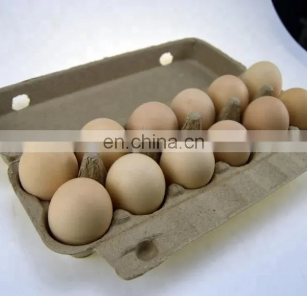 Waste Paper Recycle Used Egg Tray Machine/automatic Paper Pulp Egg Tray Production Line/small Machine Making Egg Tray photo-3