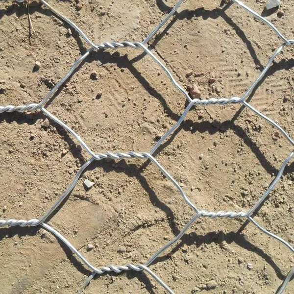 High Strength Galvanized Gabion Box Wire Mesh Stone Cage for Coastal Protection and Water Conservancy Projects photo-4