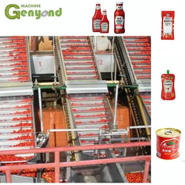 Industrial Tomato Paste Processing Machine Tomato Sauce Production Line photo-4