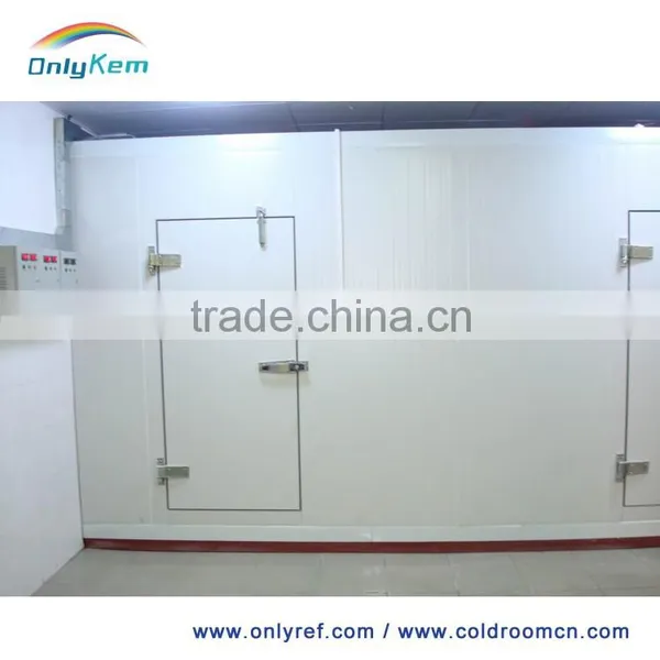 Pu Polyurethane Sandwich Panel Machine/ pu Panel for Cold Room photo-4