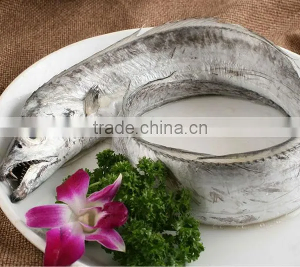 Frozen Ribbon Fish WR photo-2