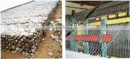 Hexagonal Wire Mesh
