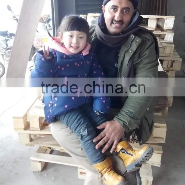 China Red Garlic Price Store Garlic photo-2