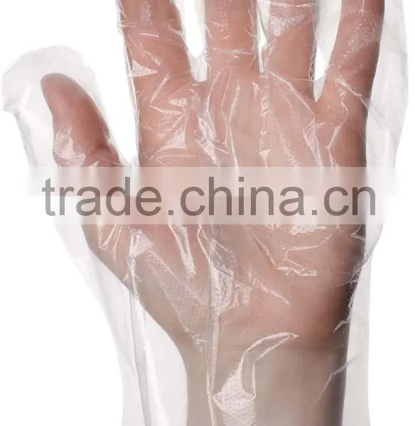 Vinyl Glove