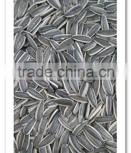 Inner Mongolia Sunflower Seeds 0409