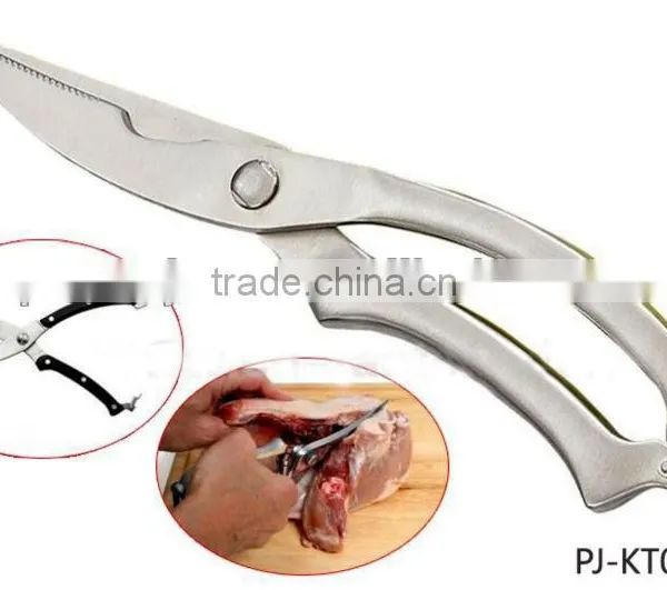 Stainless Steel Scissors