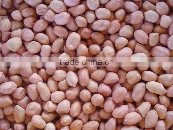 Chinese Blanched Peanut Kernels photo-2