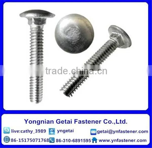 Stainless Steel 304 Carriage Bolt Din603 photo-2