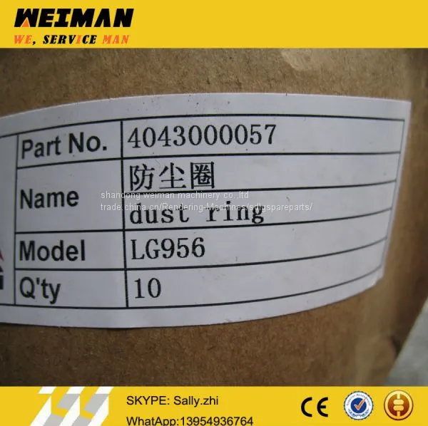SDLG Pustring, 4043000057, Sdlg Wheel Loader Parts for SDLG Wheel Loader LG956 photo-2