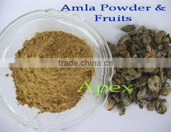 Supplier of Amla Dry Fruit & Amla Powder