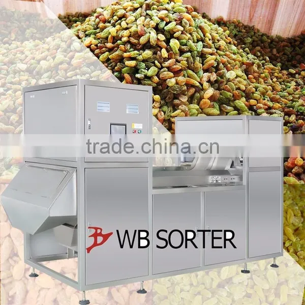 Stability Best,hot Selling,macadamia Nut Processing Machine photo-5