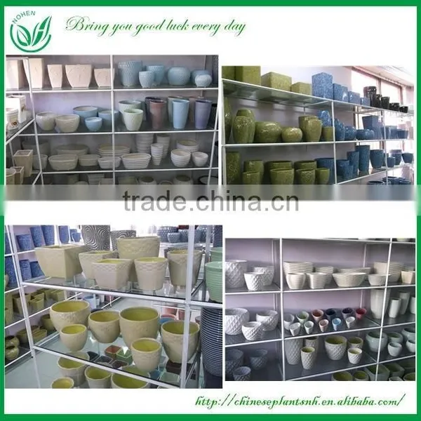 Cheap Flower Arrangements Pot photo-6