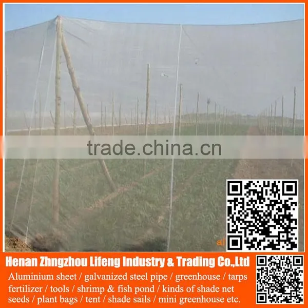 Top Product pe Greenhouse Anti Insect Proof Net , Plastic Vegetable Anti Insect Net , Nylon Agricultural Anti Insect Net photo-6