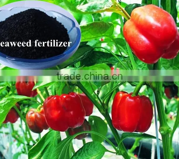 Fermented Seaweed Extract,alginic Acid Soluble Fertilizer,organic Biological Fertilizer photo-2