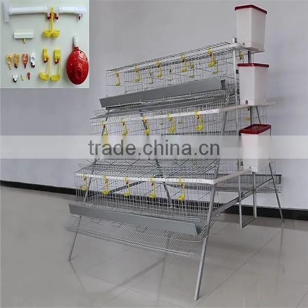 Express Used Poultry Equipment for Sale