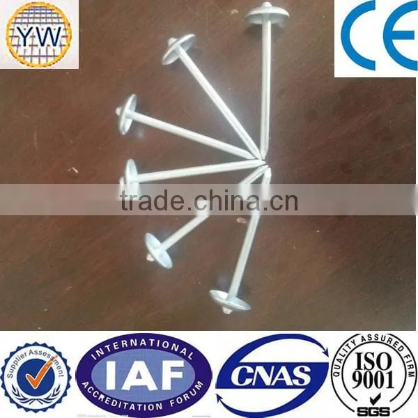 Roofing Coil Nails photo-4