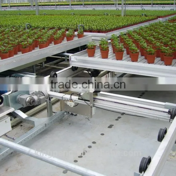 Tide Irrigation System for Nursery and Seedling Greenhouse photo-2