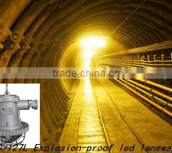 DSG12/127L(A) Round Explosion-proof Laneway Light/OEM photo-6