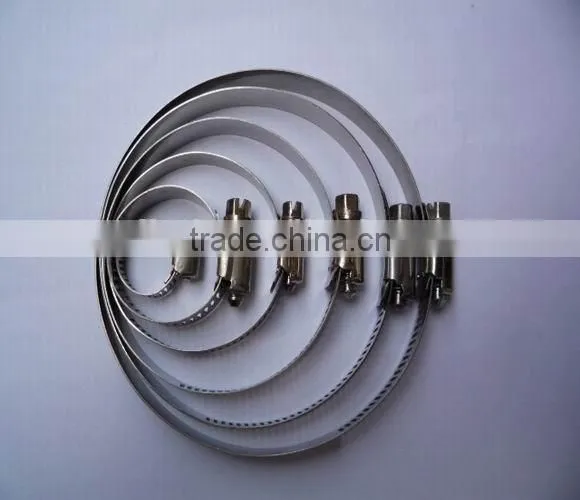 CE Rigging Polished SS304 Stainless Steel 316 Hose Clamps for Pipeline photo-2